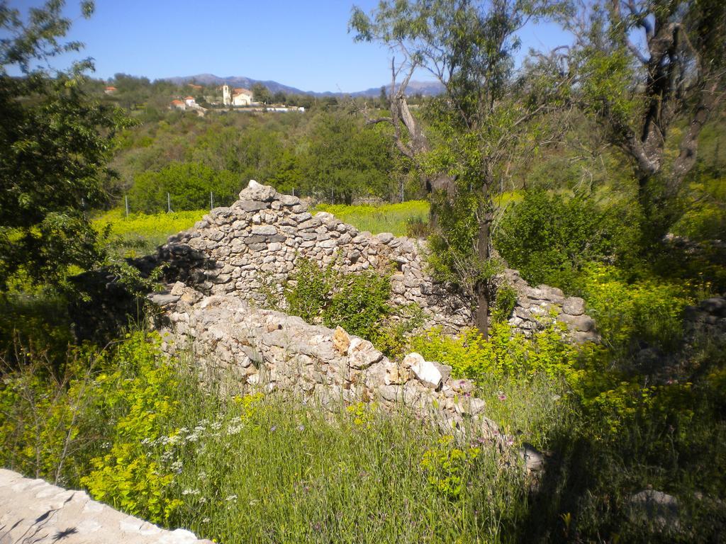Stone House In A Quiet Landscape, Leonidionヴィラ エクステリア 写真